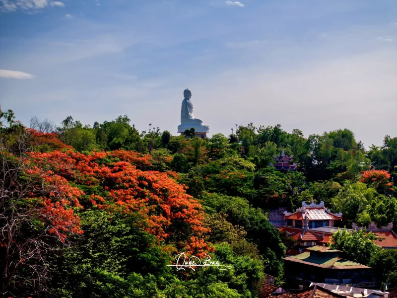 Nha Trang Highlights: Full Day City Discovery