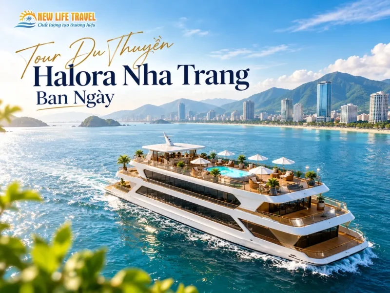 Halora Elys Cruise Nha Trang Day Tour Sailing Across the Bay