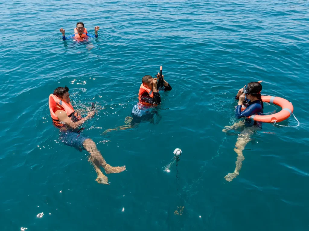 Coral Reef Snorkeling at Ninh Van Bay with Nemo Yacht